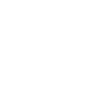Certified Full Stack JavaScript Web and Web Mobile Developer specialized in React Wise Duck Dev Logo
