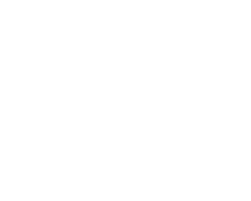 Logo du développeur certifié web et web mobile Full Stack JavaScript spécialisé en React Wise Duck Dev