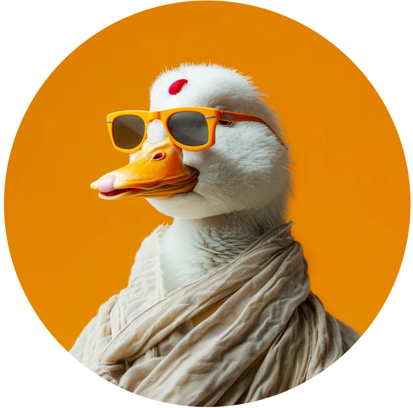 Le Wise Duck Dev habillé en yogi, évoquant l'organisation consciente et les capacités de gestion de contenu fluides des plateformes CMS intégrant GPT.